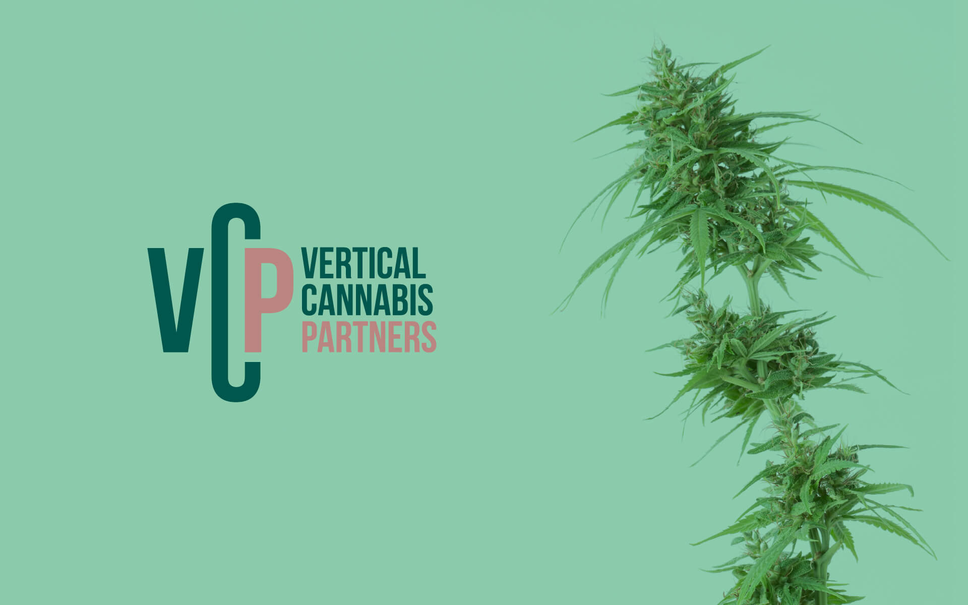 Vertical Cannabis Partner Add 3